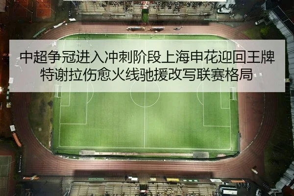 中超争冠进入冲刺阶段上海申花迎回王牌 特谢拉伤愈火线驰援改写联赛格局